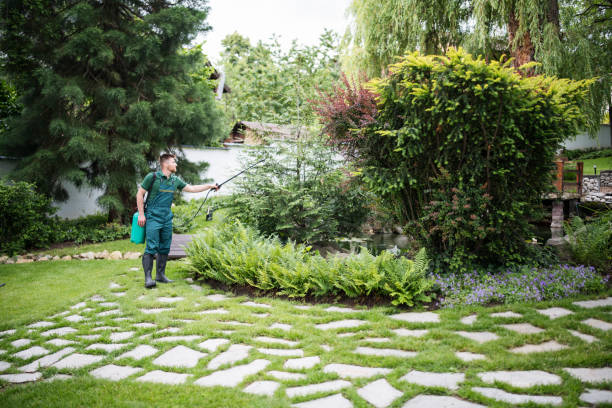 Best Residential Pest Control  in Royal City, WA