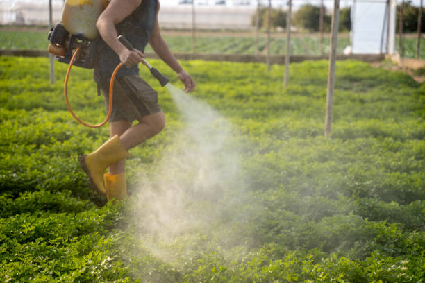 Best Wildlife Control Services  in Royal City, WA