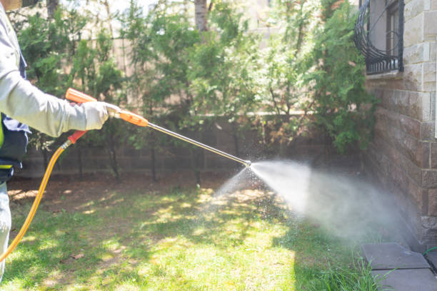 Best Insect Control  in Royal City, WA