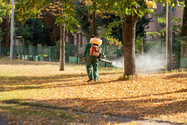 Best Bed Bug Extermination  in Royal City, WA