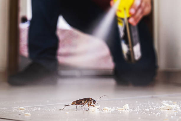 Best Ant Control Services  in Royal City, WA