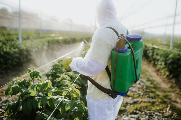Best Affordable Pest Control Services  in Royal City, WA